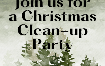 Join us for a Christmas Decoration Cleanup Party!