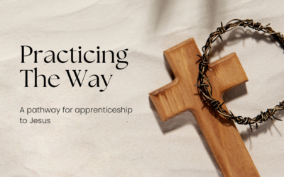 Join a “Practicing the Way” Small Group